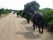 III_Motorata_-_All_around_the_Puglia_(12).jpg