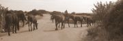 III_Motorata_-_All_around_the_Puglia_(14)_SEPIA.jpg
