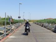 DSC00572.jpg