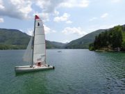 DSC00647.jpg