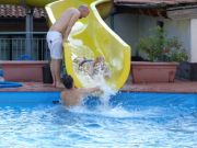 DSC00714.jpg
