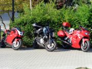 DSC00755.jpg