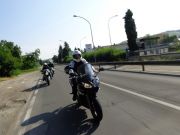 DSC00771.jpg