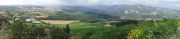 DSC00777.jpg