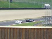 DSC00798.jpg