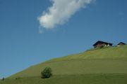 DSC06473.JPG