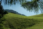 DSC06477.JPG
