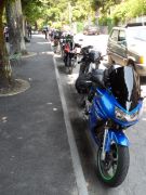 SDC10483.JPG