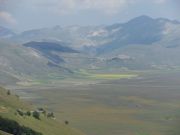SDC10514.JPG