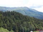 100_0891.JPG