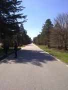 03042011932.jpg