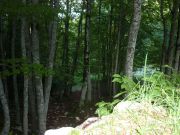 Motoporchetta_12-09-2010_005.jpg