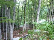 Motoporchetta_12-09-2010_006.jpg