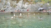 DSC00461.JPG