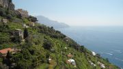 DSC01417.JPG