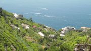 DSC01418.JPG