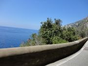 DSC00917.JPG