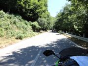 DSC01047.JPG