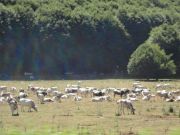 DSC01056.JPG