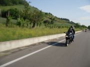 SDC17879.JPG