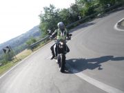 SDC17885.JPG