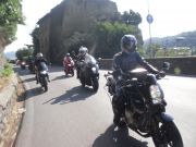 SDC17903.JPG