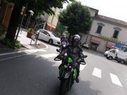 SDC17979.JPG
