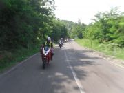SDC18029.JPG