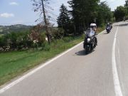 SDC18047.JPG