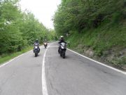 SDC18072.JPG