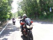 SDC18115.JPG