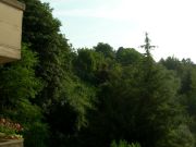 a_DSCN4533.JPG