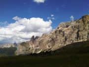 IMG00701-20110709-1436.jpg