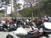 IMG_3110.jpg