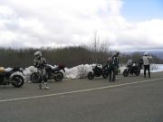 IMG_3113.jpg