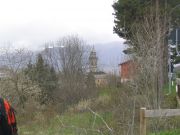 IMG_3122.jpg