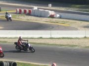 IMG_2995.jpg