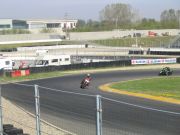 IMG_3006.jpg