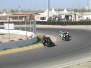 IMG_3017.jpg