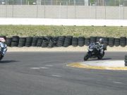 IMG_3039.jpg