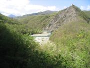 IMG_3104.jpg