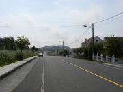 DSCN1177_800x600.jpg
