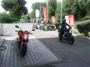 IMG_20110724_100410_bis.jpg