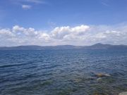 IMG_20110724_121149.jpg