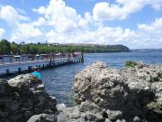 IMG_20110724_121158.jpg