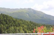 IMG_1130.JPG