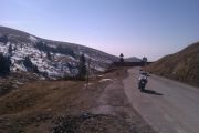 Solitaria_in_Cima_Grappa.jpg