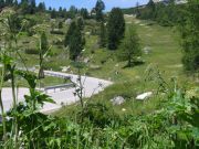 DSC04924.JPG