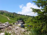 DSC04925.JPG
