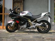 Kawasaki_005.jpg
